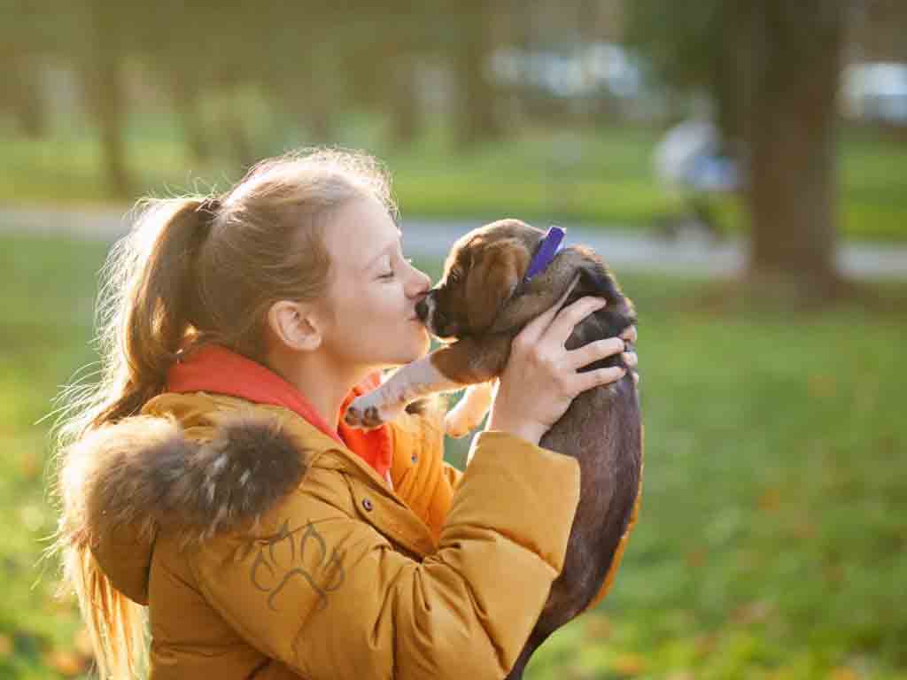 Spend Your time with the puppy