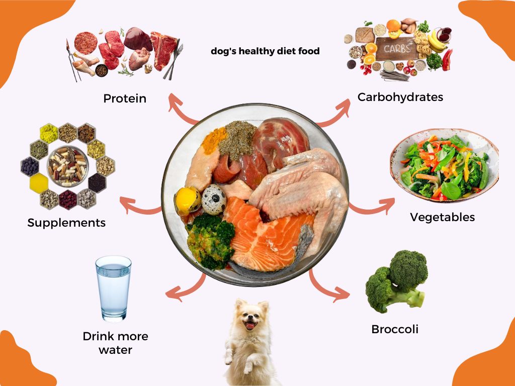 dogs healthy diet food